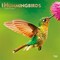 Hummingbirds | 2027 12 x 24 Inch (Hanging) Monthly Square Wall Calendar | Foil Stamped Cover | Plastic-Free